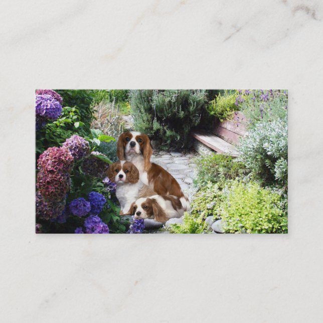 Cavalier King Charles Spaniel Breede Business Card (Front)
