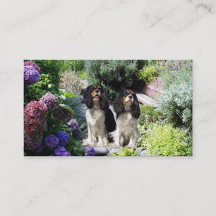 Cavalier King Charles Spaniel Breede Business Card