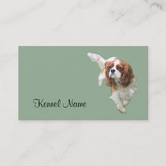 Cavalier King Charles Spaniel Breeder Business Car Card (Front)