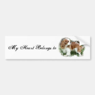 Cavalier King Charles Spaniel Bumper Sticker