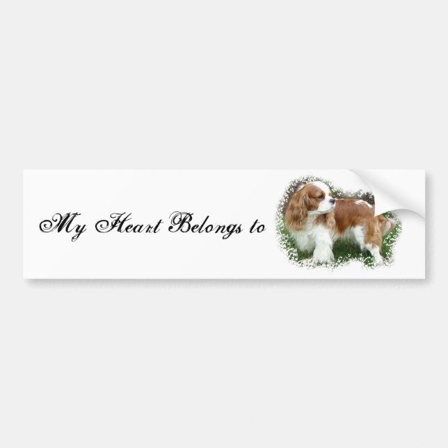 Cavalier King Charles Spaniel Bumper Sticker (Front)