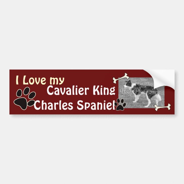 Cavalier King Charles Spaniel Bumper Sticker (Front)