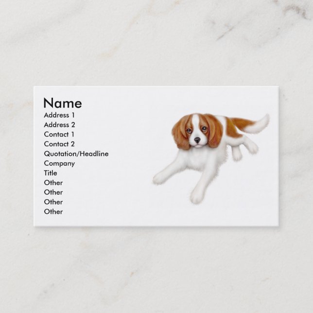 Cavalier King Charles Spaniel Business Card (Front)