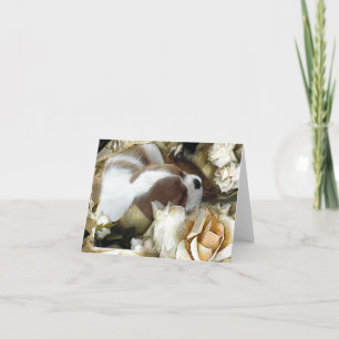 Cavalier King Charles Spaniel Card