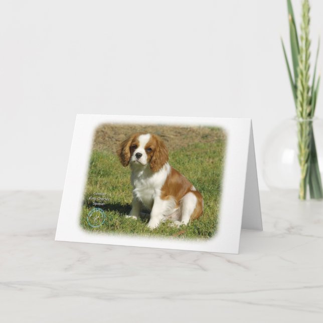Cavalier King Charles Spaniel Card (Front)