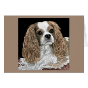 Cavalier King Charles Spaniel Card - Bella