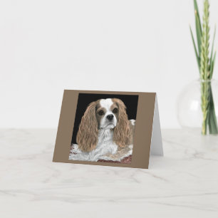 Cavalier King Charles Spaniel Card - Bella