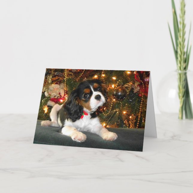 Cavalier King Charles Spaniel Christmas Card (Front)