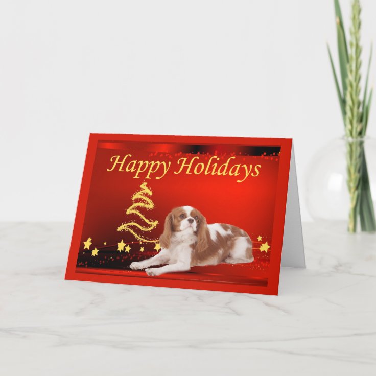 Cavalier King Charles Spaniel Christmas Card Stars | Zazzle