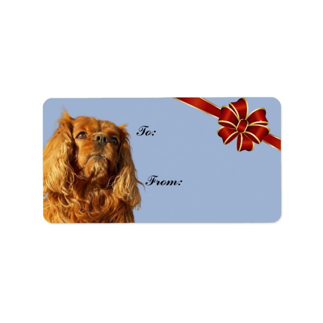 Cavalier King Charles Spaniel Christmas Gift Tag (Front)