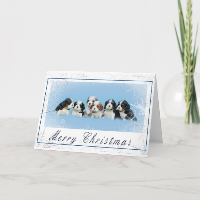 Cavalier King Charles Spaniel Christmas Holiday Card (Front)
