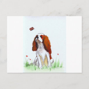 Cavalier King Charles Spaniel CKC Postcard
