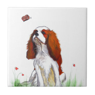 Cavalier King Charles Spaniel CKC Tile