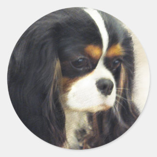 Cavalier King Charles Spaniel Classic Round Sticker