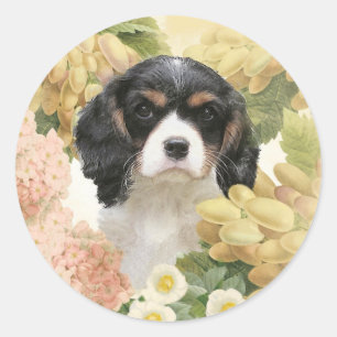Cavalier King Charles Spaniel Classic Round Sticker