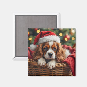 Cavalier King Charles Spaniel Cozy Basket Magnet