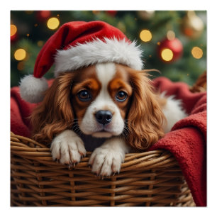 Cavalier King Charles Spaniel Cozy Basket Poster