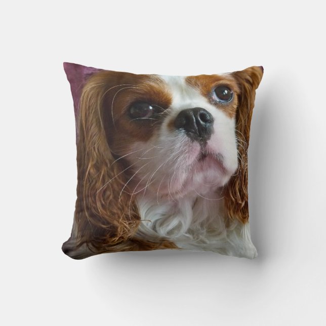 Cavalier King Charles Spaniel cushion pillow (Front)