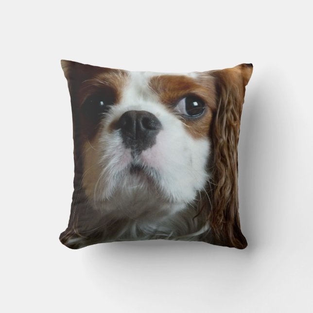 Cavalier King Charles Spaniel cushion pillow (Front)