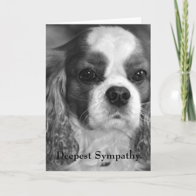 Cavalier King Charles Spaniel Deepest Sympathy Card (Front)