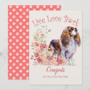 Cavalier King Charles Spaniel Dog Adoption, Gotcha Card