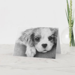 Cavalier King Charles Spaniel Dog Greeting Card