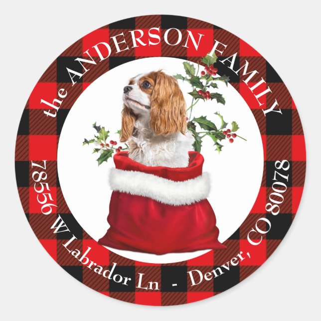 Cavalier King Charles Spaniel Dog Plaid Frame Classic Round Sticker (Front)