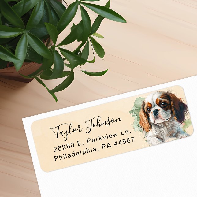 Cavalier King Charles Spaniel Dog Return Address (Creator Uploaded)