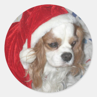 CAVALIER KING CHARLES SPANIEL DOG WITH SANTA HAT CLASSIC ROUND STICKER