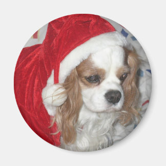 CAVALIER KING CHARLES SPANIEL DOG WITH SANTA HAT MAGNET