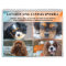 Cavalier King Charles Spaniel FB Group