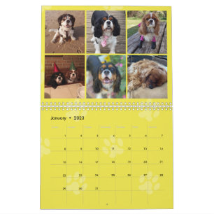 Cavalier King Charles Spaniel FB Group Calendar (3