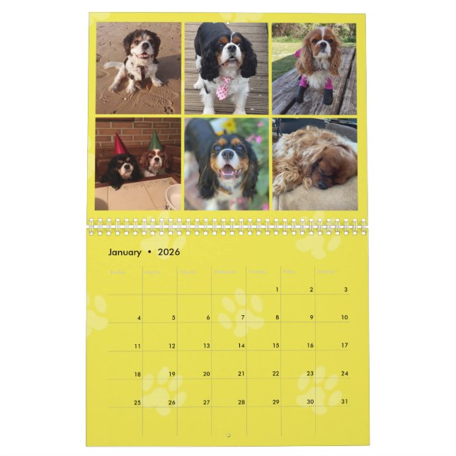 Cavalier King Charles Spaniel FB Group Calendar (3 (Jan 2026)