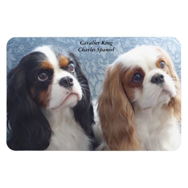 Cavalier King Charles Spaniel Flexible Magnet (Horizontal)