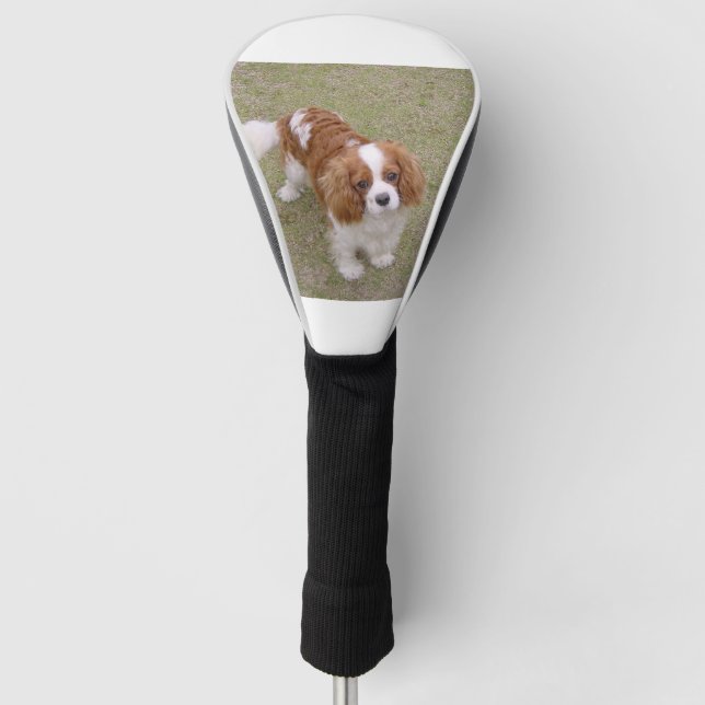 Cavalier-king-charles-spaniel full golf head cover (Front)