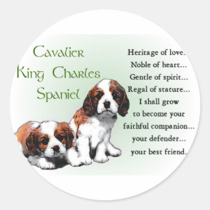 Cavalier King Charles Spaniel Gifts Classic Round Sticker