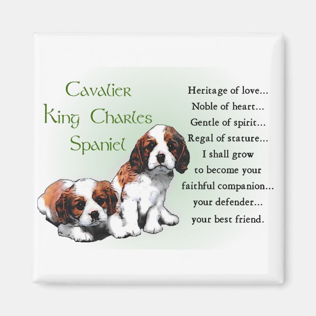 Cavalier King Charles Spaniel Gifts Magnet (Front)