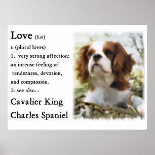 Cavalier King Charles Spaniel Gifts Poster