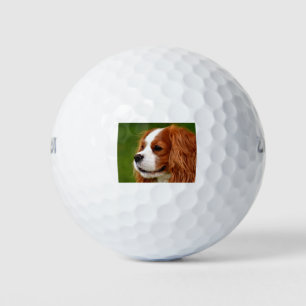 Cavalier King Charles Spaniel Golf Balls