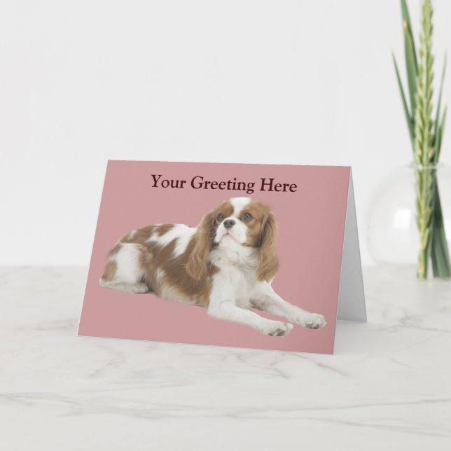 Cavalier King Charles Spaniel Greeting Card (Front)