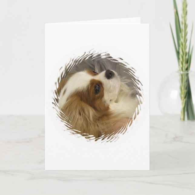 Cavalier King Charles Spaniel Greeting Card (Front)