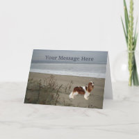 Cavalier King Charles Spaniel Greeting Card