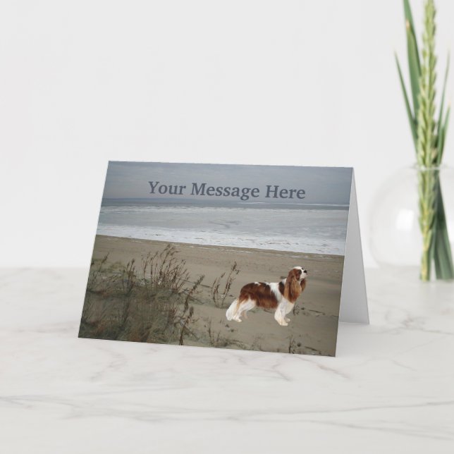 Cavalier King Charles Spaniel Greeting Card (Front)