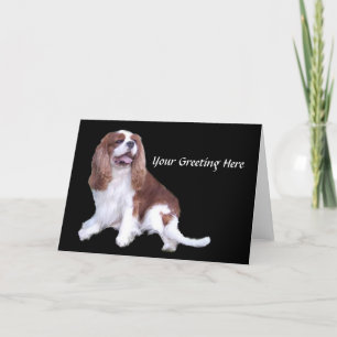 Cavalier King Charles Spaniel Greeting Card