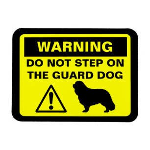 Cavalier King Charles Spaniel Guard Dog Warning Magnet
