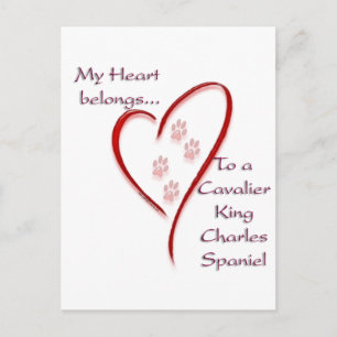 Cavalier King Charles Spaniel Heart Belongs Postcard