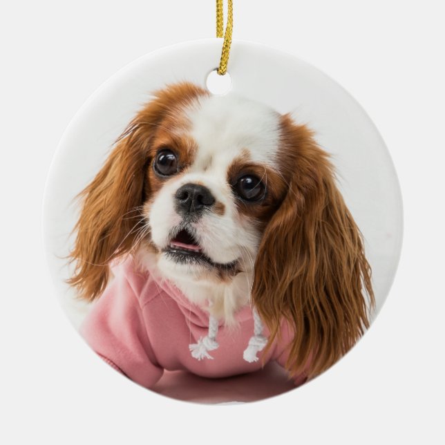 Cavalier King Charles Spaniel in Pink Jacket Ceramic Tree Decoration (Front)