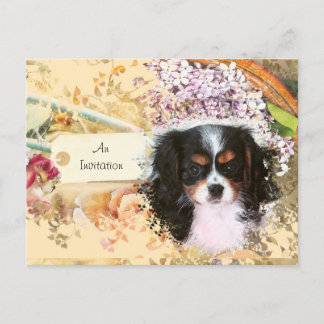 Cavalier King Charles Spaniel Invitation Postcard