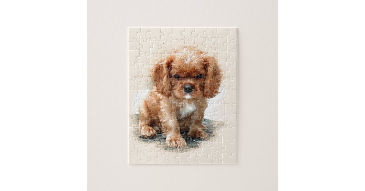 Cavalier King Charles Spaniel Jigsaw Puzzle | Zazzle