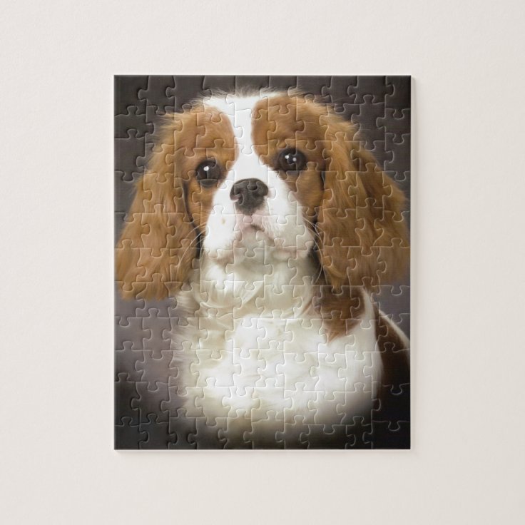 king charles spaniel puzzle